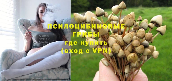 стаф Покачи