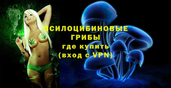 jwh Абаза