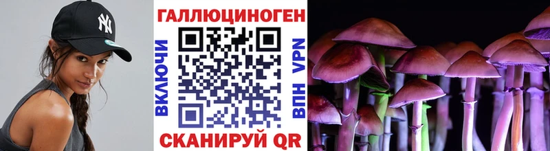 Галлюциногенные грибы мухоморы Мосальск