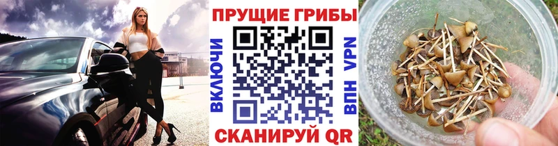 Галлюциногенные грибы Magic Shrooms  наркотики  ссылка на мегу как зайти  Мосальск 